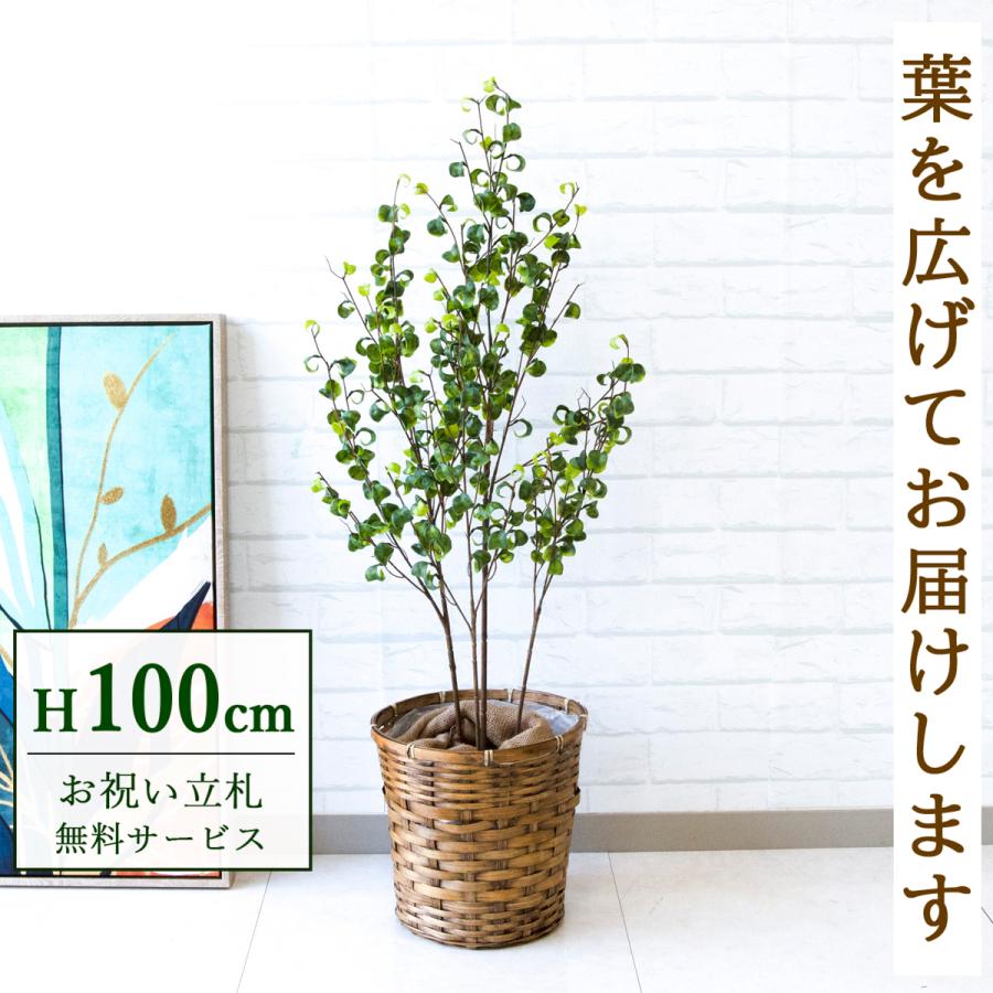 フェイクグリーン フィカス ベンジャミン バロックポット H約