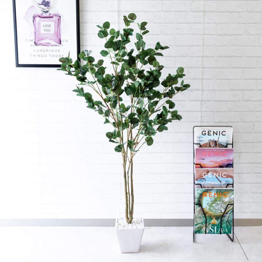 Pg175 ユーカリマルバ H約135cm 陶器鉢 人工観葉植物 フェイクグリーン Pg175 0101pp Shop Yahoo 店 通販 Yahoo ショッピング