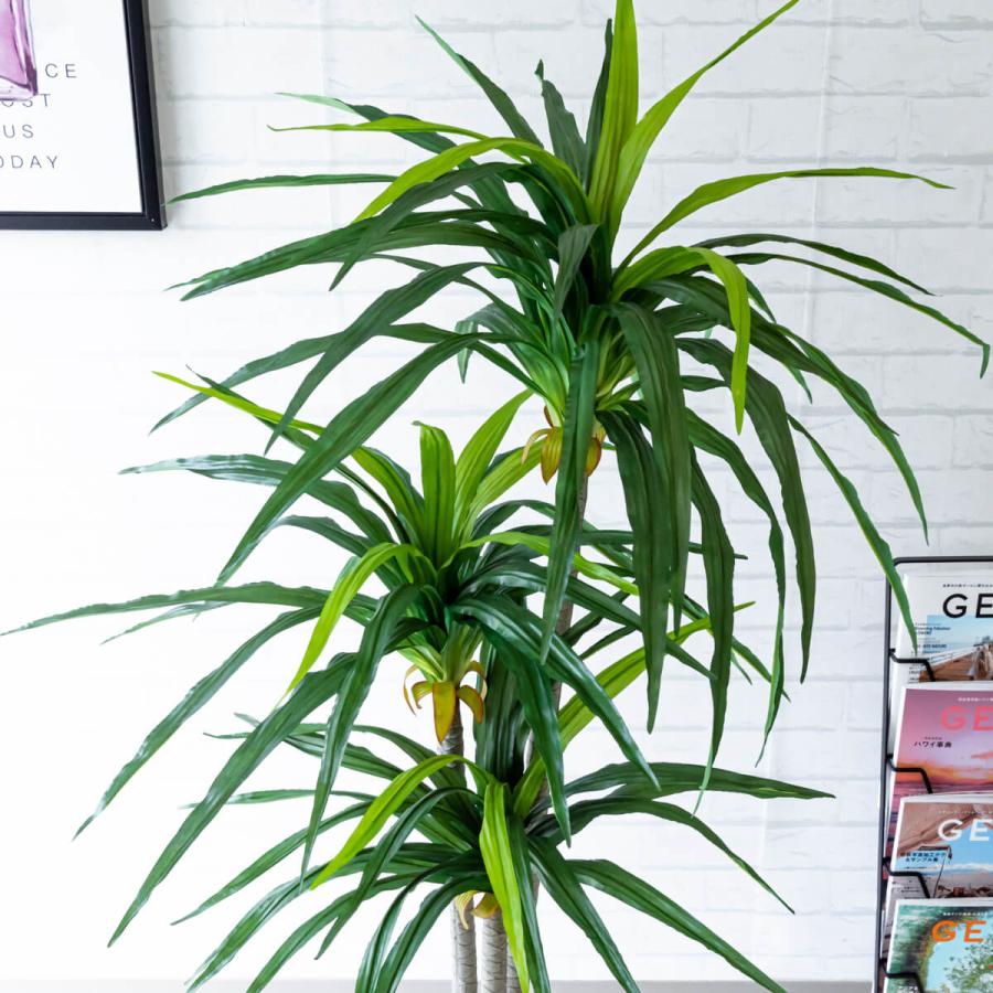 フェイクグリーン ドラセナx3トランク H約130cm 鉢付き / 観葉