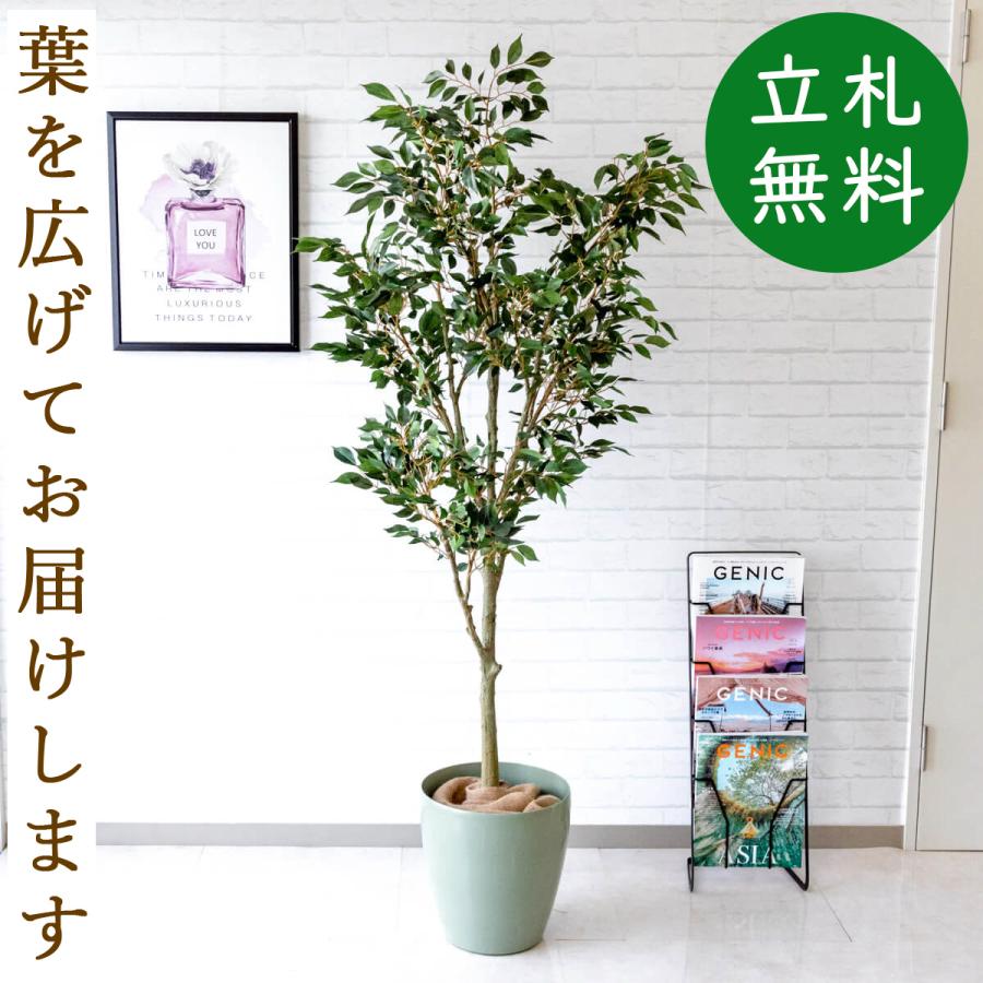 安い 国 Pg186 A300gr フィカスベンジャミン H約165cm ポリプロピレン鉢 人工観葉植物 フェイクグリーン アーティフィシャルグリーン 通販 インテリア おしゃれ 安い 購入 Www Energyexpert It