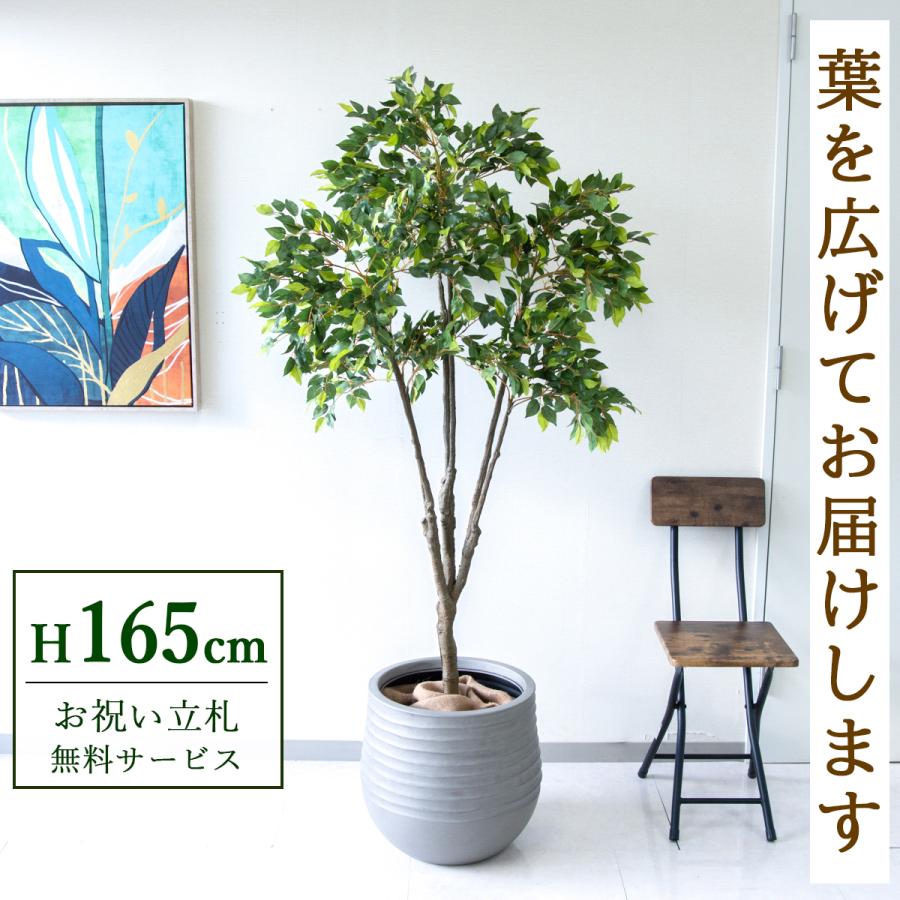 フェイクグリーン　ベンジャミン(フィスカ) 165cm 観葉植物　造花 ☆立札無料☆【すぐ飾れる】 フェイクグリーン 人工観葉植物 フィカス
