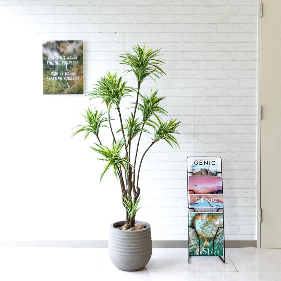 Pg194 J30 ドラセナ H約150cm Frp鉢 人工観葉植物 フェイクグリーン アーティフィシャルグリーン 通販 インテリア おしゃれ Pg194 J30 0101pp Shop Yahoo 店 通販 Yahoo ショッピング