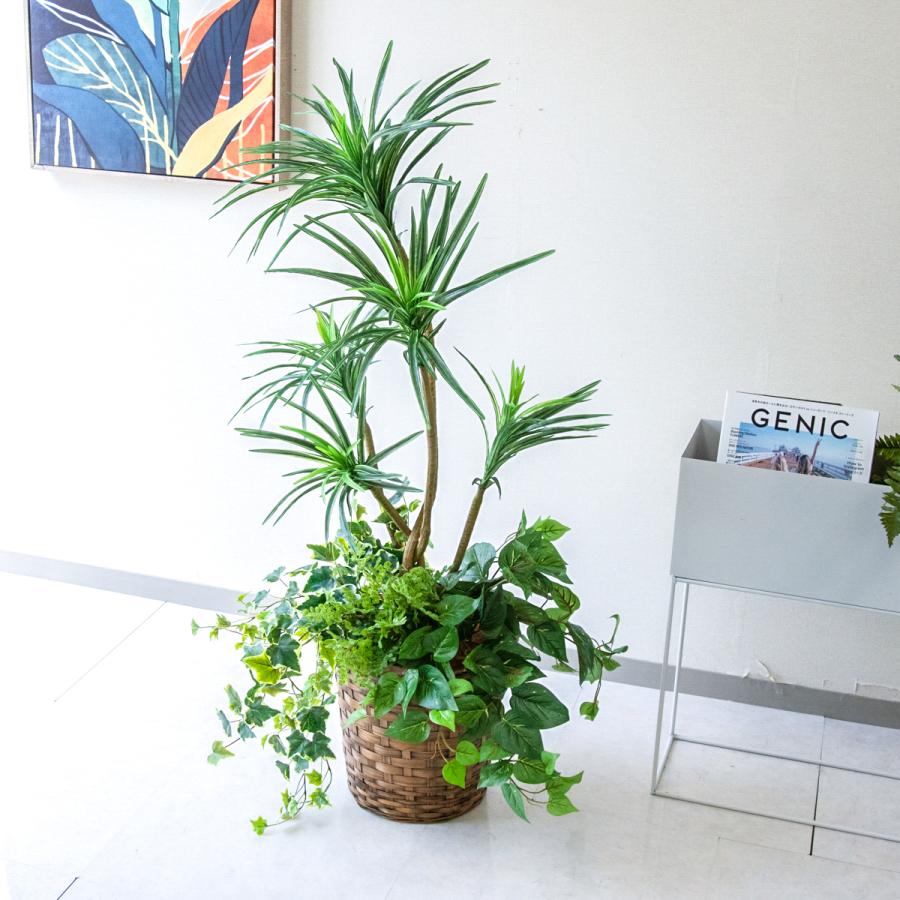★立札無料★【すぐ飾れる】 フェイクグリーン 人工観葉植物 ユッカ 115cm 鉢付き / 法人・開店祝い 店舗・オフィス装飾の画像