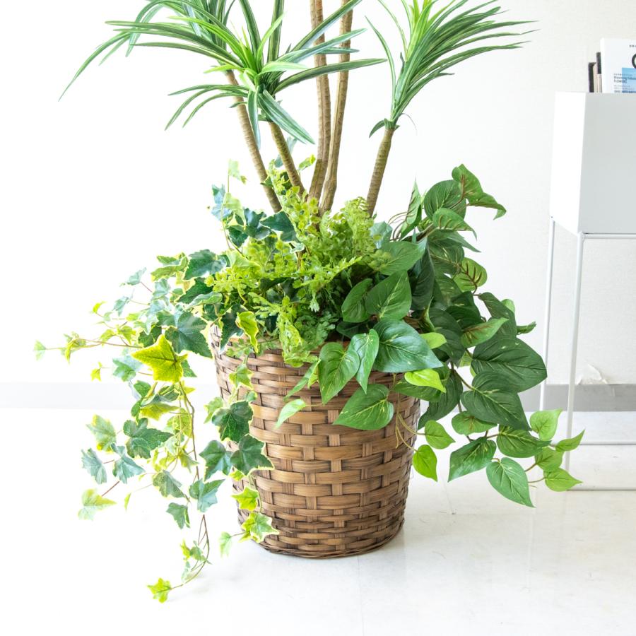 ★立札無料★【すぐ飾れる】 フェイクグリーン 人工観葉植物 ユッカ 115cm 鉢付き / 法人・開店祝い 店舗・オフィス装飾の画像