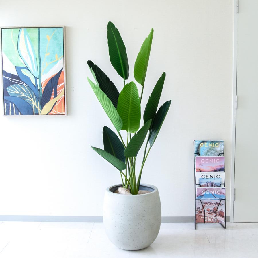 光触媒　人工観葉植物　フェイクグリーン　オーガスタ　ストレッチア160@m 光触媒 人工観葉植物 フェイクグリーン オーガスタ ストレッチア160@m
