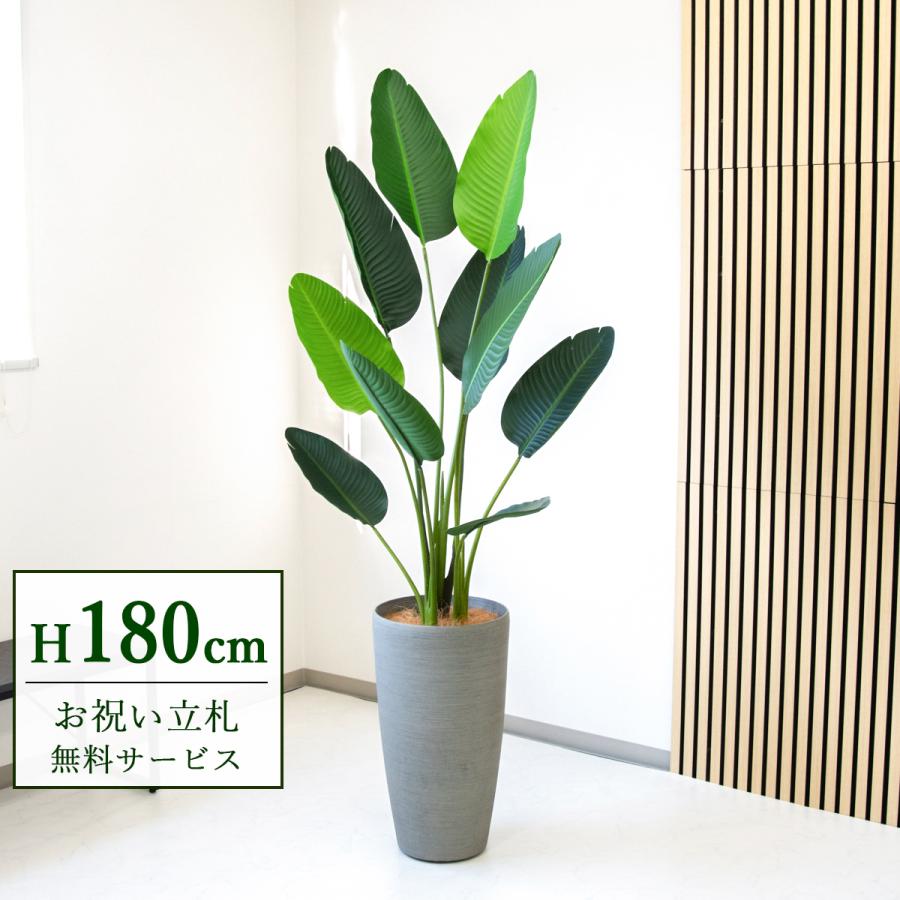 オーガスタ　人工観葉植物　フェイクグリーン　大きめ 黒鉢付き オーガスタ 人工観葉植物 フェイクグリーン 大きめ 黒鉢付き フェイク