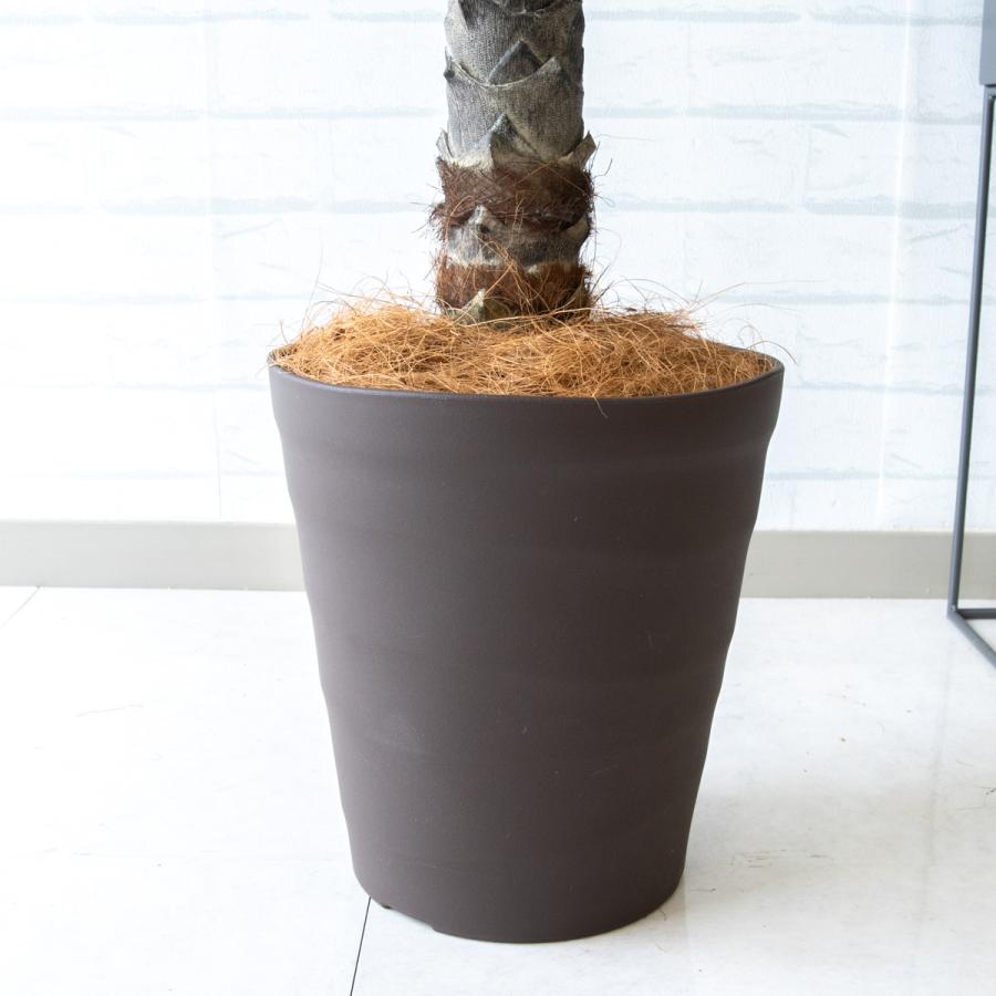 ☆日本製☆☆☆フェイクグリーン フェニックス 2.1（組立式） 高さ2.1m 光触媒 光の楽園 フェニックス 2.1m【インテリア フェイク