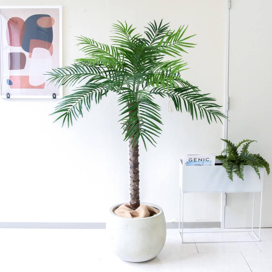 ★立札無料★【すぐ飾れる】 フェイクグリーン 人工観葉植物 フェニックス パームツリー ヤシの木 165cm 2分割 鉢付き / 法人・開店祝い 店舗・オフィス装飾_1