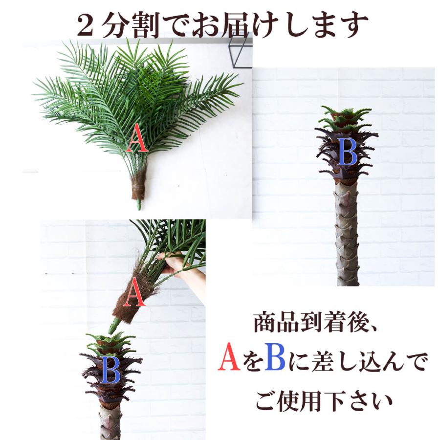 ★立札無料★【すぐ飾れる】 フェイクグリーン 人工観葉植物 フェニックス パームツリー ヤシの木 165cm 2分割 鉢付き / 法人・開店祝い 店舗・オフィス装飾_8