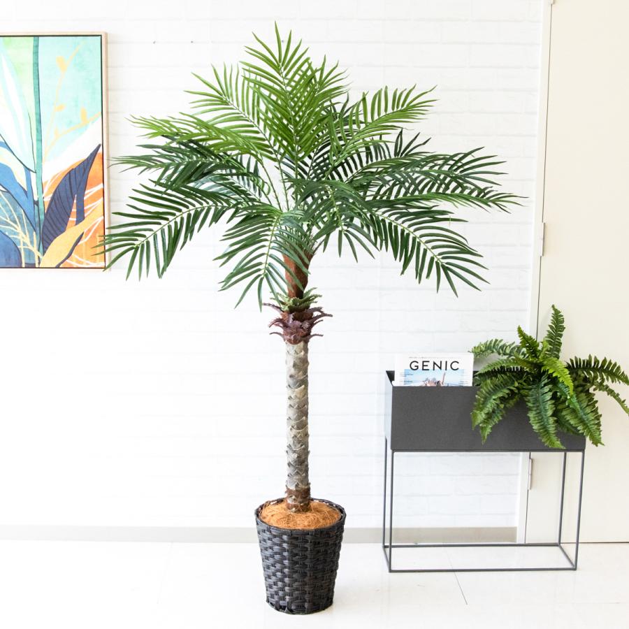 ☆立札無料☆【すぐ飾れる】 フェイクグリーン 人工観葉植物