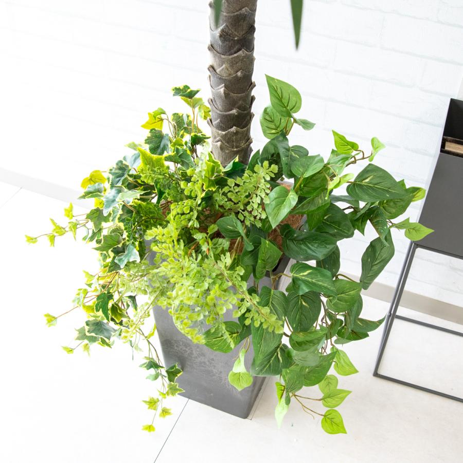 光触媒　人工観葉植物　フェイクグリーン　フェニックス パーム2本立 フェイクグリーン フェニックスパームツリー(ヤシの木) H約160cm