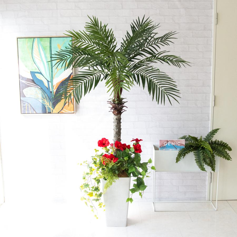 光触媒観葉植物 フェニックス　ヤシの木 フェニックス 大型 観葉植物 人気 おしゃれ インテリアグリーン