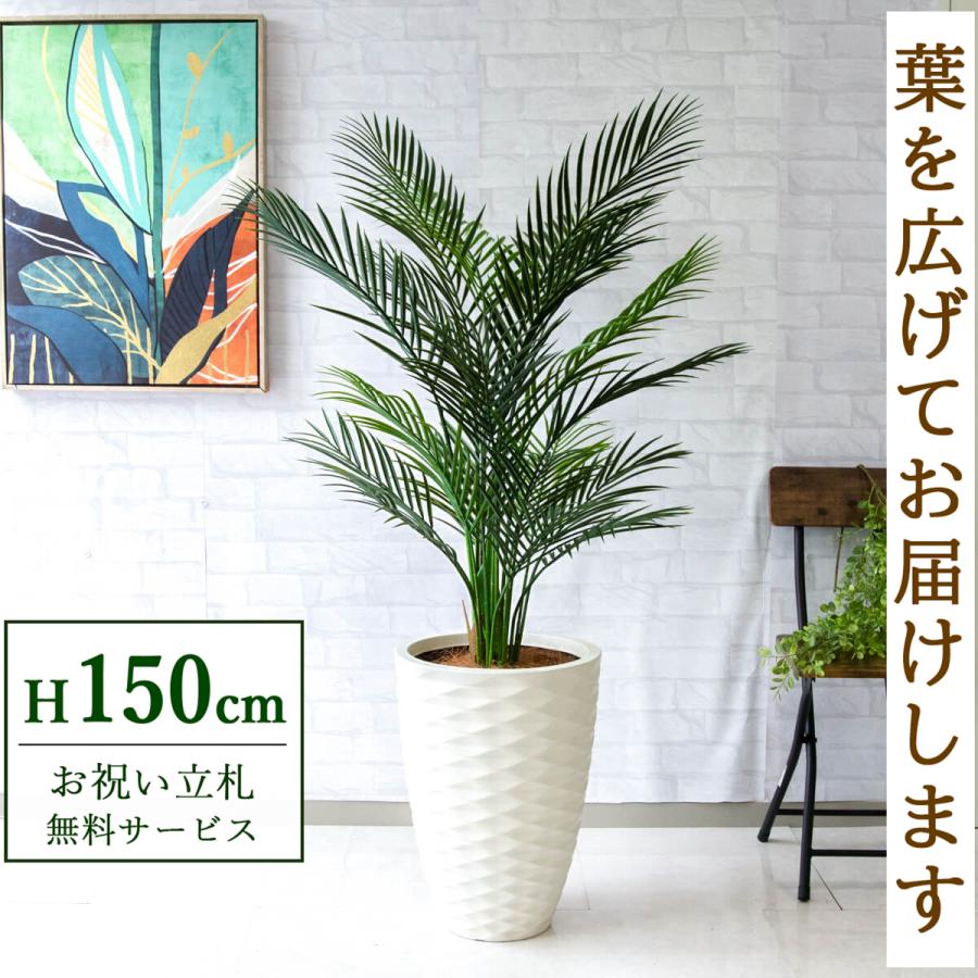 ☆立札無料☆【すぐ飾れる】 フェイクグリーン 人工観葉植物