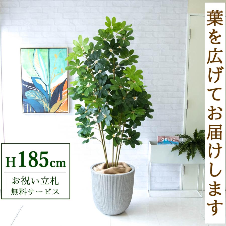 ☆立札無料☆【すぐ飾れる】 フェイクグリーン 人工観葉植物