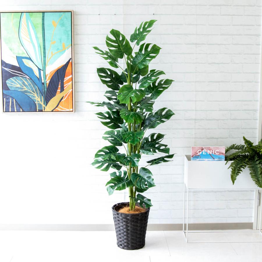 ★立札無料★【すぐ飾れる】 フェイクグリーン 人工観葉植物 スプリットフィロツリー 155cm 鉢付き / 法人・開店祝い 店舗・オフィス装飾の画像