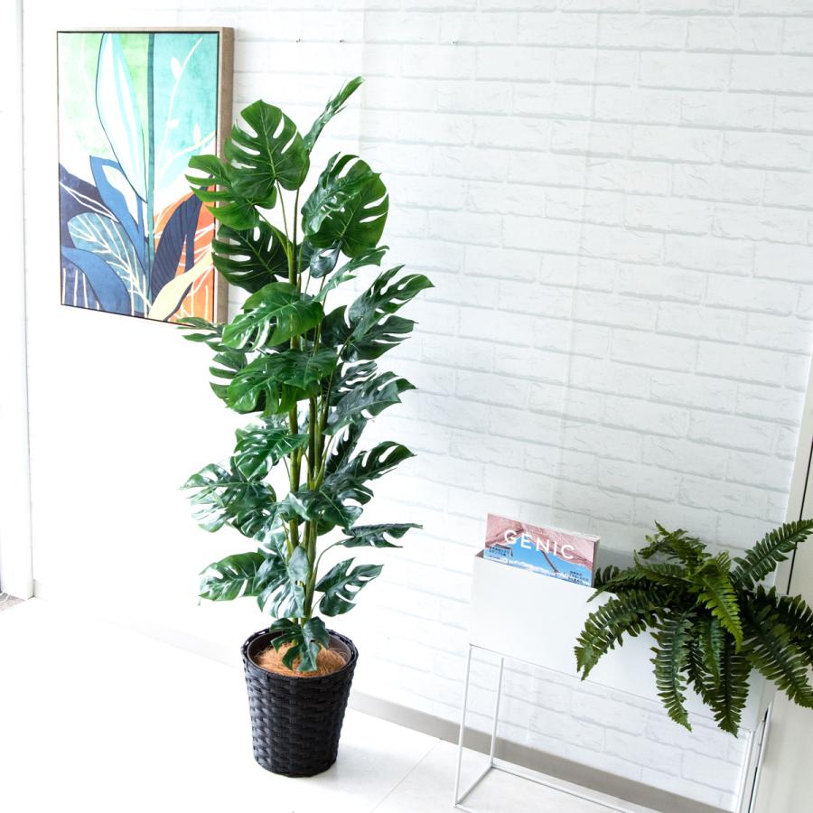 ★立札無料★【すぐ飾れる】 フェイクグリーン 人工観葉植物 スプリットフィロツリー 155cm 鉢付き / 法人・開店祝い 店舗・オフィス装飾の画像