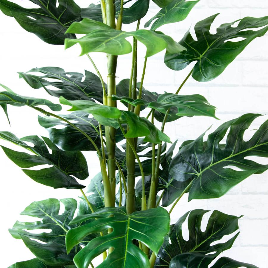 ★立札無料★【すぐ飾れる】 フェイクグリーン 人工観葉植物 スプリットフィロツリー 155cm 鉢付き / 法人・開店祝い 店舗・オフィス装飾の画像
