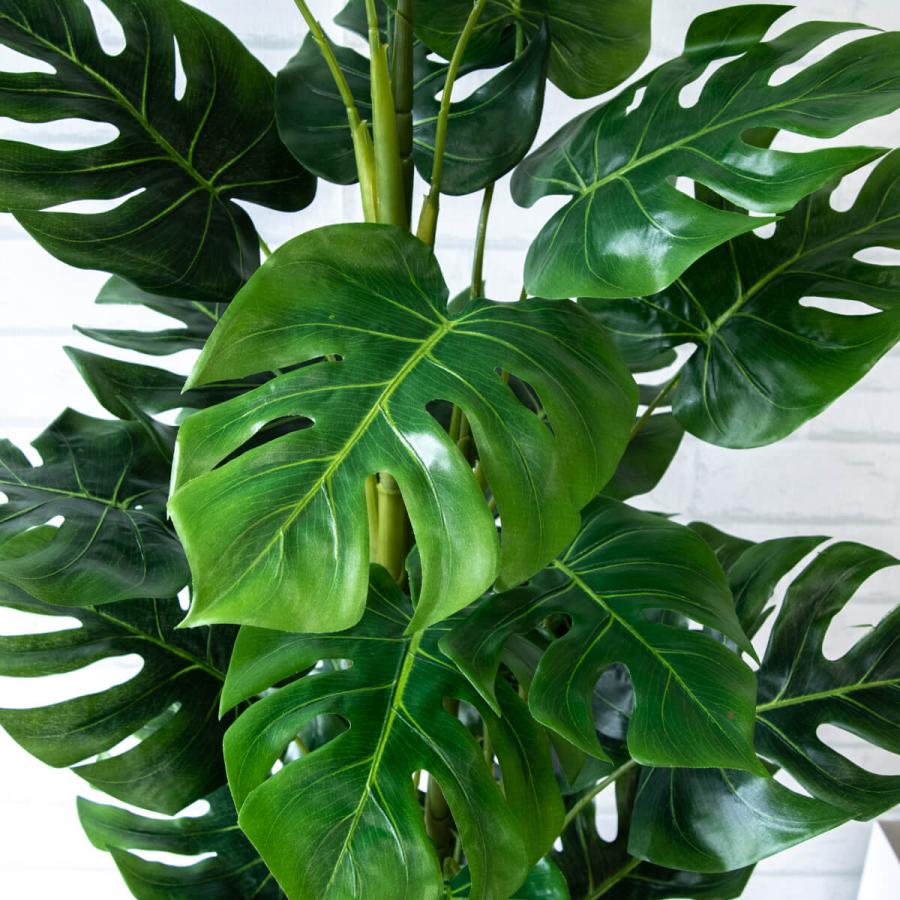 ★立札無料★【すぐ飾れる】 フェイクグリーン 人工観葉植物 スプリットフィロツリー 155cm 鉢付き / 法人・開店祝い 店舗・オフィス装飾の画像