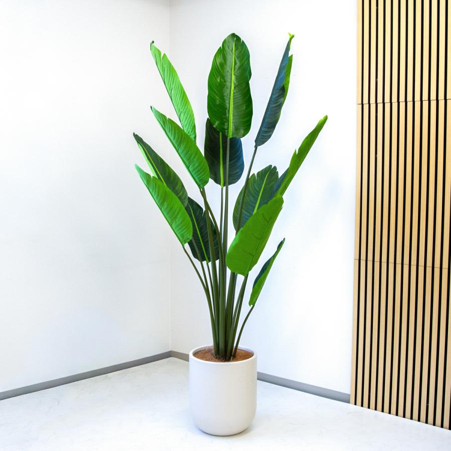 ☆立札無料☆【すぐ飾れる】 フェイクグリーン 人工観葉植物 
