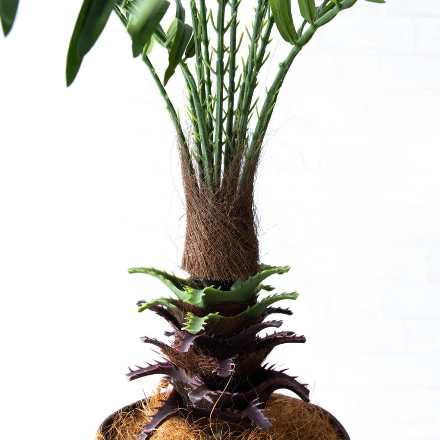 ★立札無料★【すぐ飾れる】 フェイクグリーン 人工観葉植物 フェニックス パームツリー ヤシの木 100cm 鉢付き / 法人・開店祝い 店舗・オフィス装飾の画像