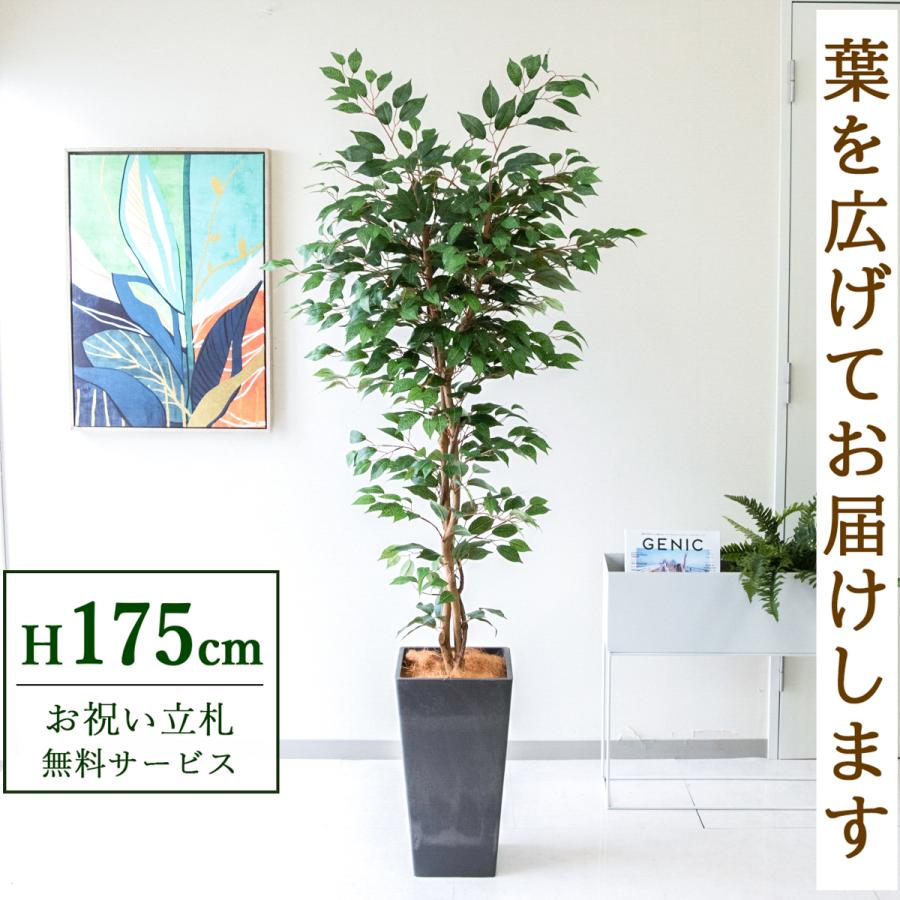 ☆立札無料☆【すぐ飾れる】 フェイクグリーン 人工観葉植物 フィカス 