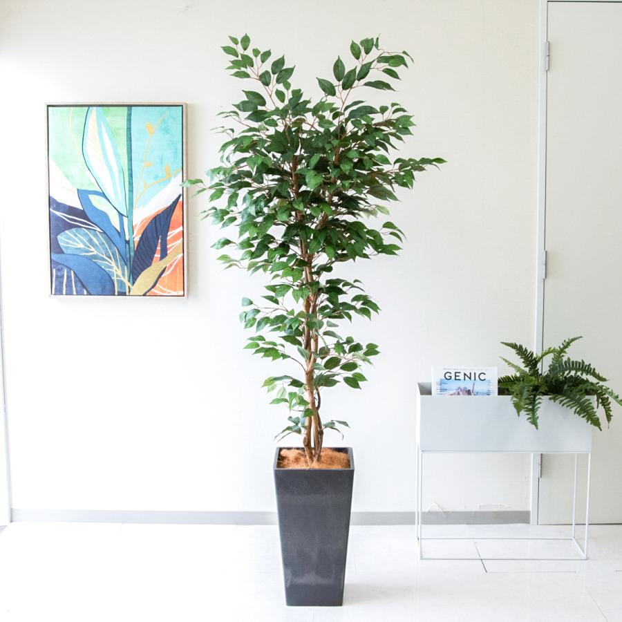 光触媒　人工観葉植物　ウォールグリーン　フェイクグリーン　フィカスツリー175 光触媒 人工観葉植物 ウォールグリーン フェイクグリーン