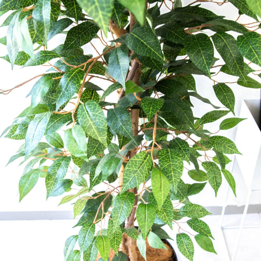 光触媒　人工観葉植物　ウォールグリーン　フェイクグリーン　フィカスツリー175 光触媒 人工観葉植物 ウォールグリーン フェイクグリーン