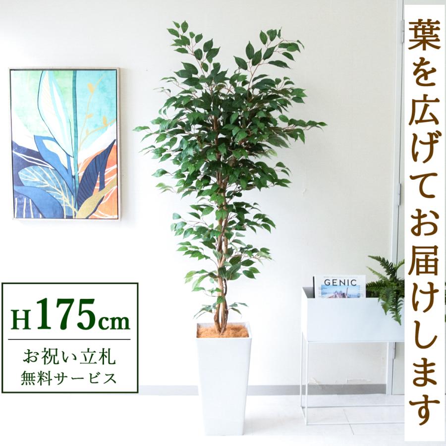 フェイクグリーン フィカス ベンジャミン ツリー H約175cm 鉢付き 