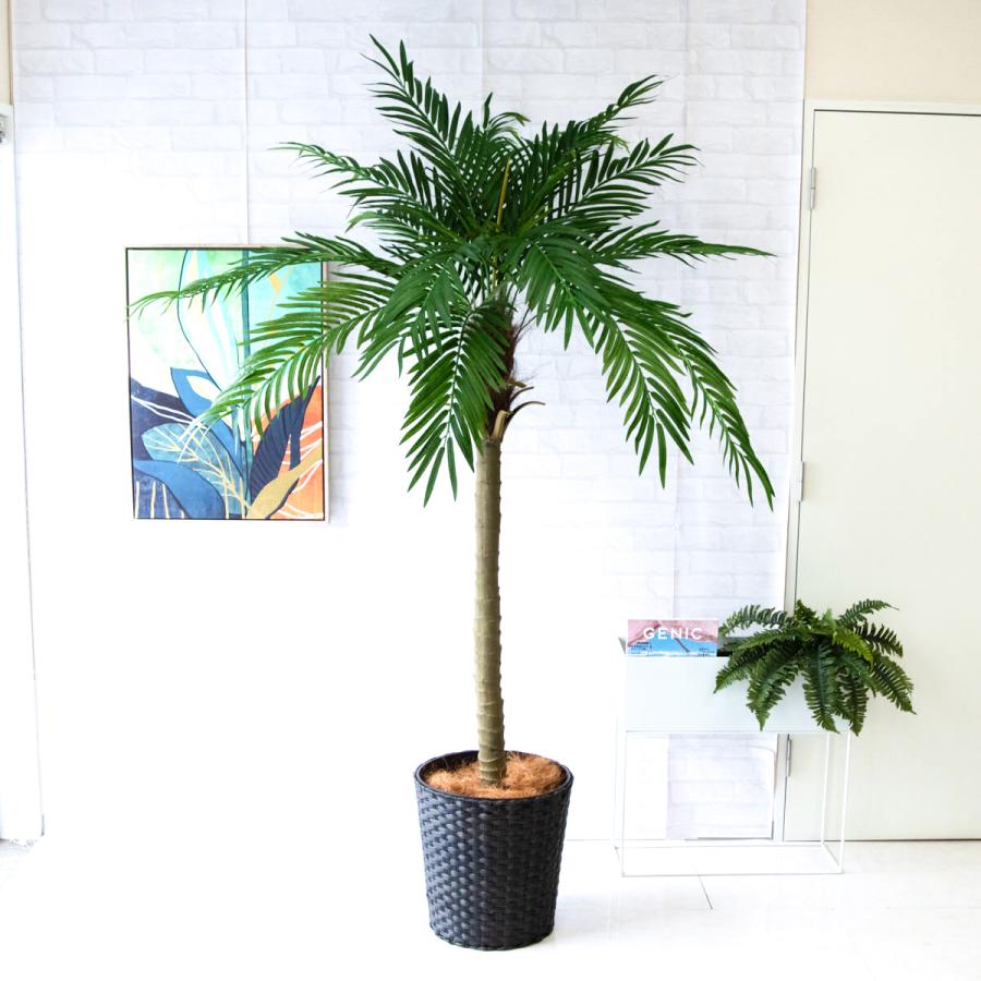 ☆立札無料☆【すぐ飾れる】 フェイクグリーン 人工観葉植物 