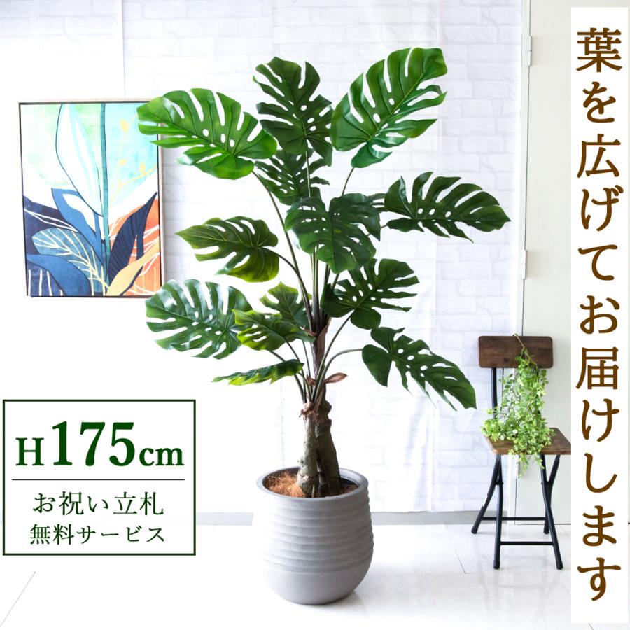 光触媒　人工観葉植物　ウォールグリーン　フェイクグリーン　モンステラ175 光触媒 人工観葉植物 ウォールグリーン フェイクグリーン