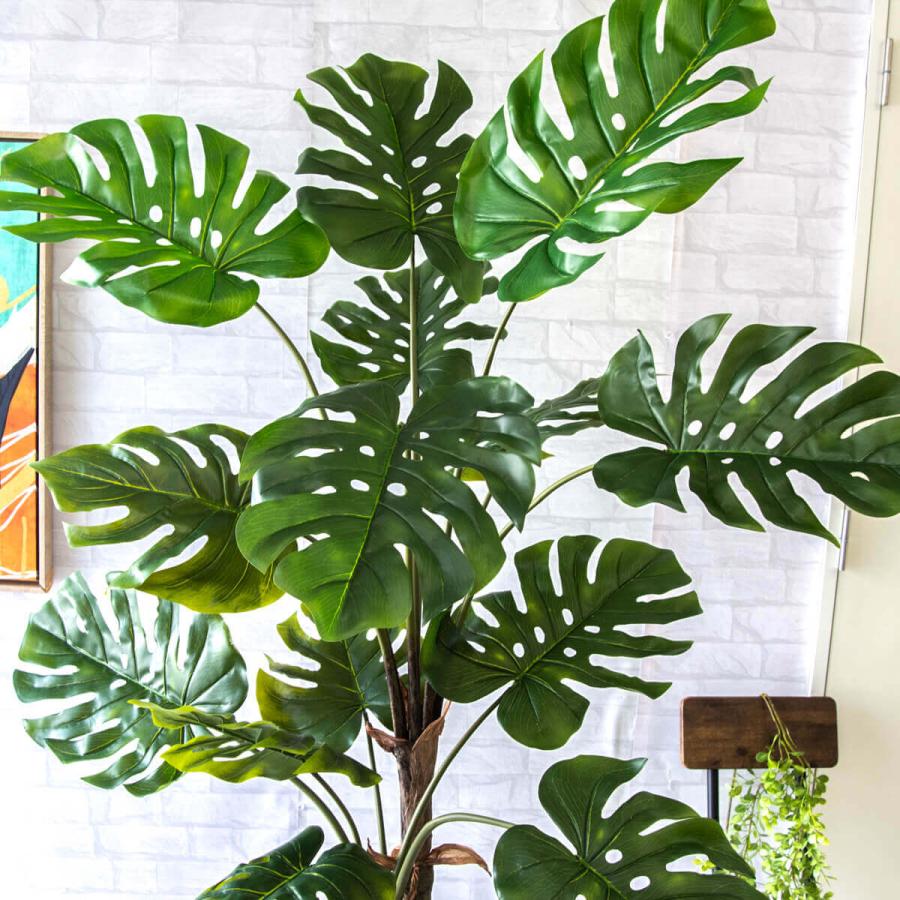 フェイクグリーン モンステラ H約175cm 鉢付き / 観葉植物