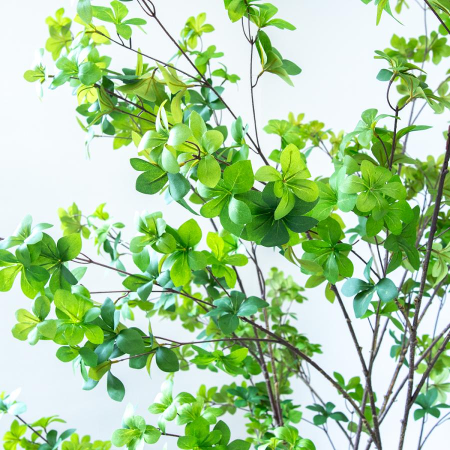 フェイクグリーン ドウダンツツジ H約195cm 鉢付き / 観葉植物