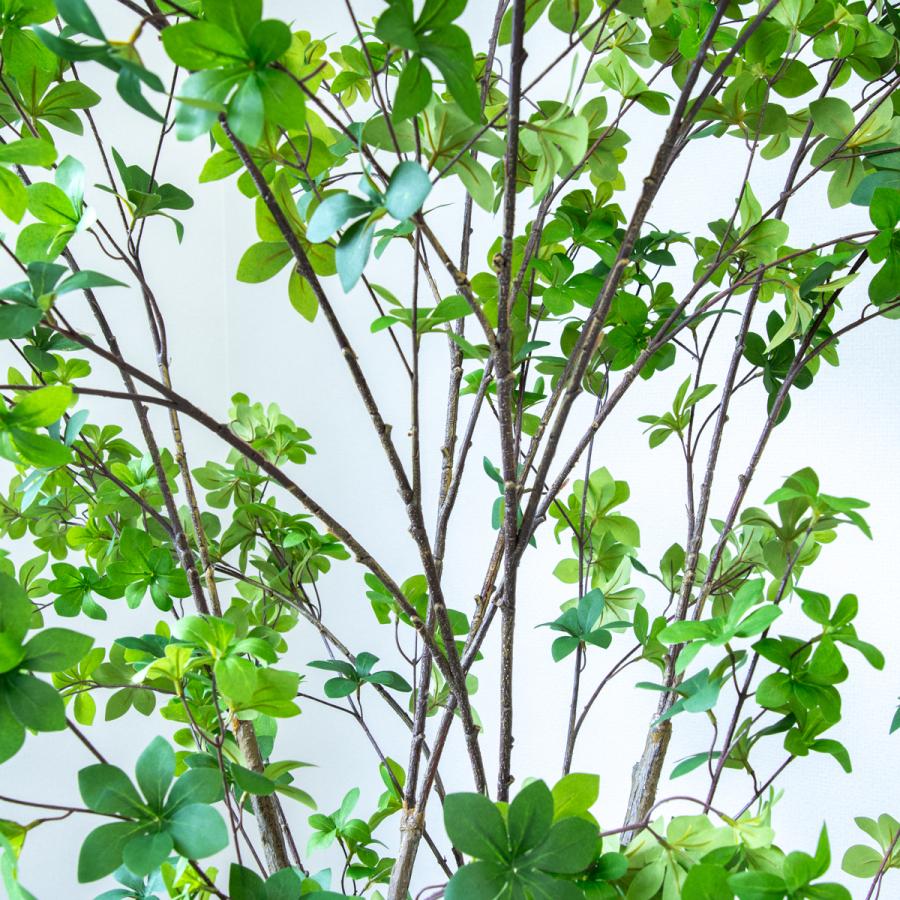 光触媒　人工観葉植物　ウォールグリーン　フェイクグリーン　ドウダンツツジ FST 神戸花物語 フェイクグリーン ドウダンツツジ 観葉植物 人工観葉