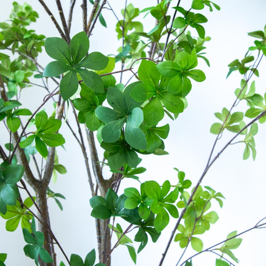 フェイクグリーン ドウダンツツジ H約195cm 鉢付き / 観葉植物