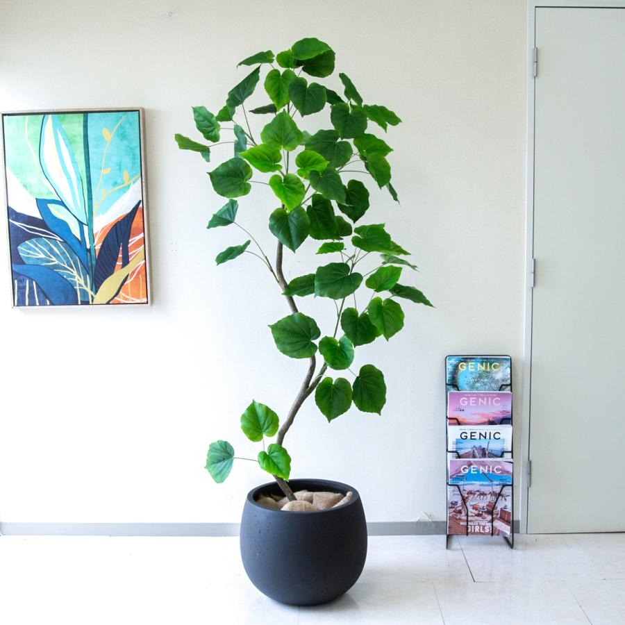 光触媒　人工観葉植物　フェイクグリーン　フレッシュデザインウンベラータ1.8 光触媒 光の楽園 フレッシュデザインウンベラータ1.8m