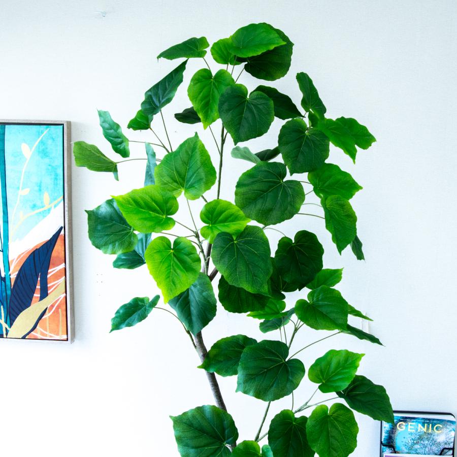フェイクグリーン ウンベラータ H約185cm 鉢付き / 観葉植物