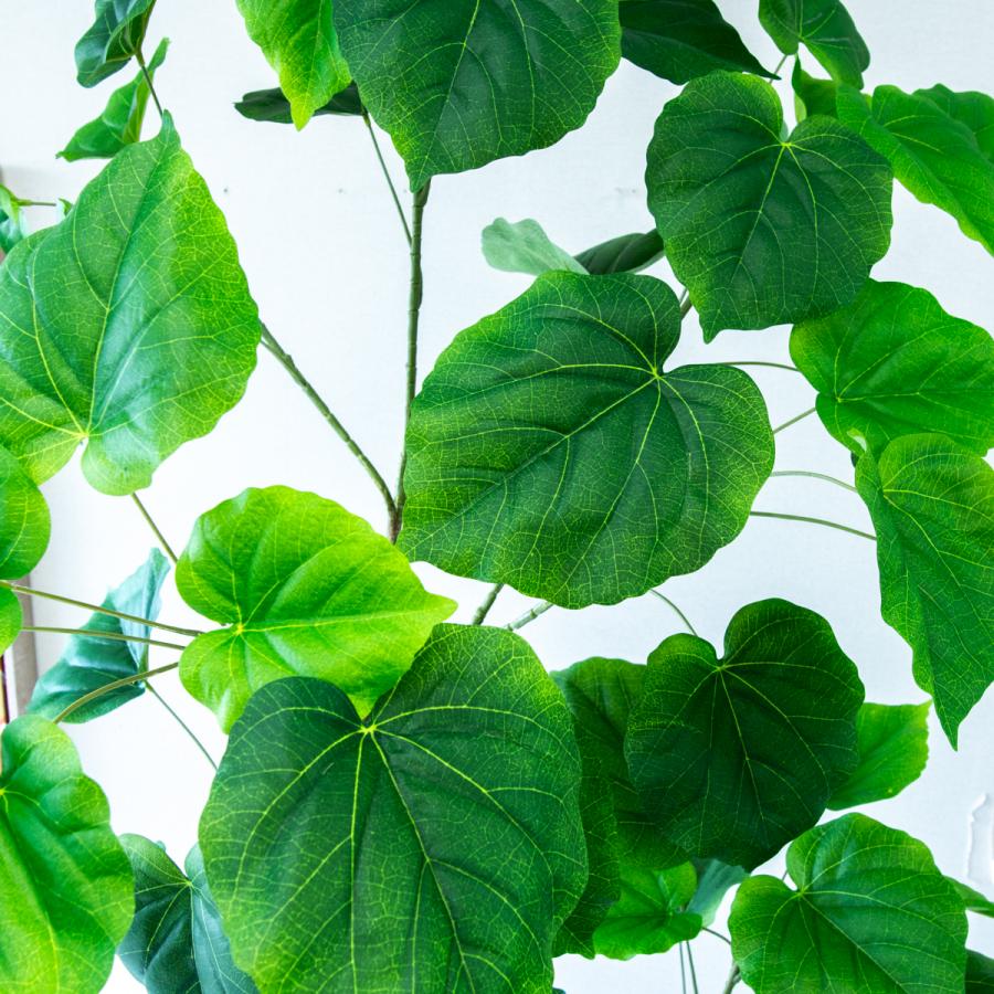 フェイクグリーン ウンベラータ H約185cm 鉢付き / 観葉植物