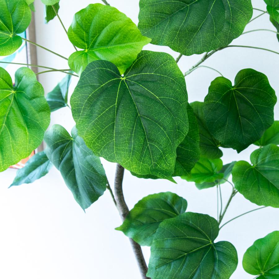 フェイクグリーン ウンベラータ H約185cm 鉢付き / 観葉植物