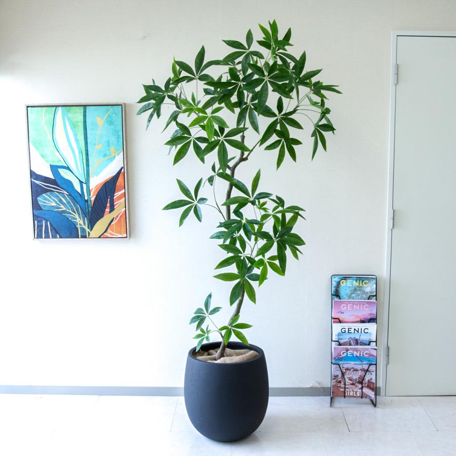 ★立札無料★【すぐ飾れる】 フェイクグリーン 人工観葉植物 パキラ 195cm 大型 鉢付き / 法人・開店祝い 店舗・オフィス装飾_1