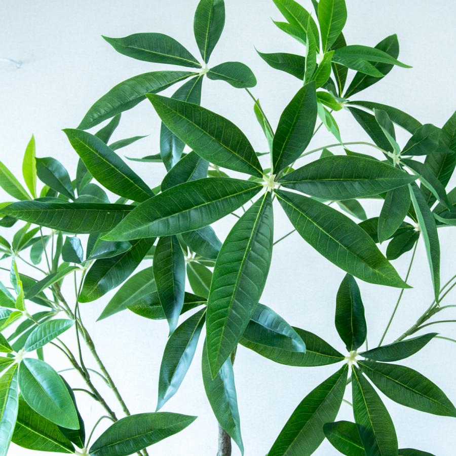 ★立札無料★【すぐ飾れる】 フェイクグリーン 人工観葉植物 パキラ 195cm 大型 鉢付き / 法人・開店祝い 店舗・オフィス装飾_3