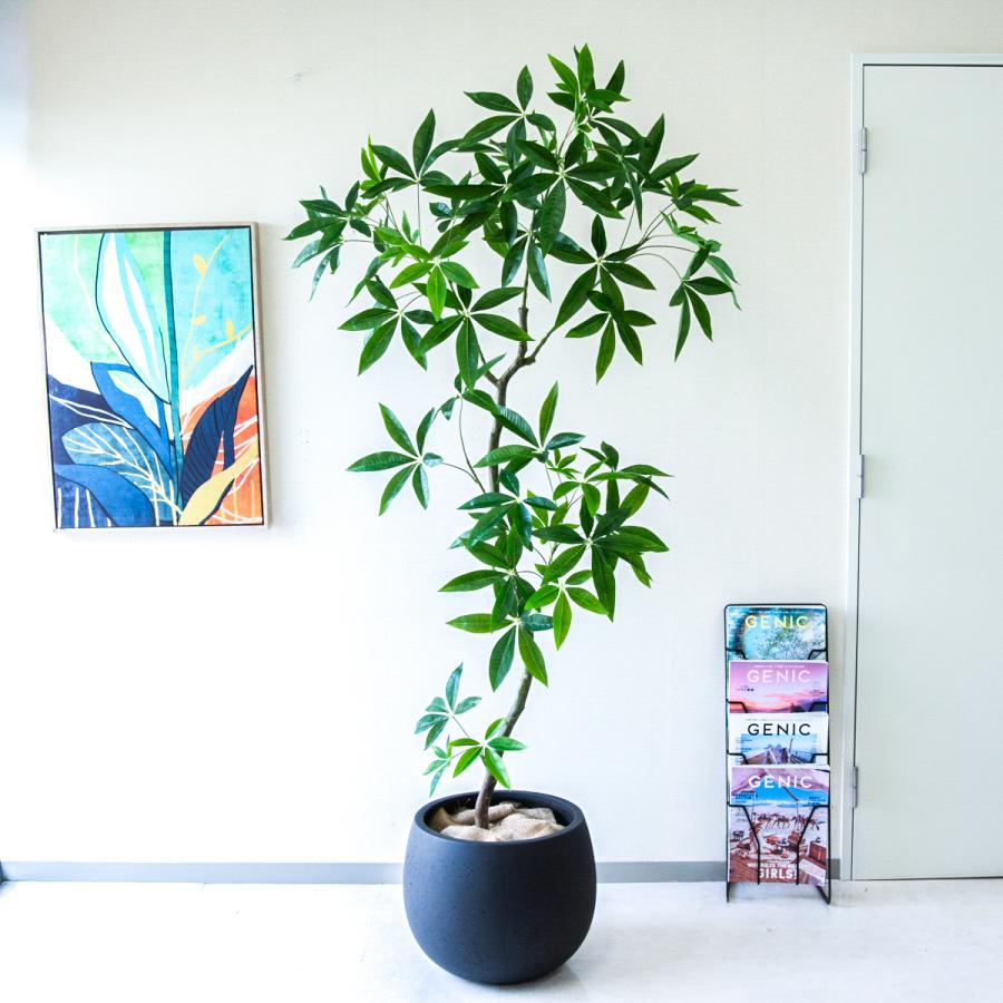 フェイクグリーン パキラ H約190cm 鉢付き / 観葉植物 フェイク