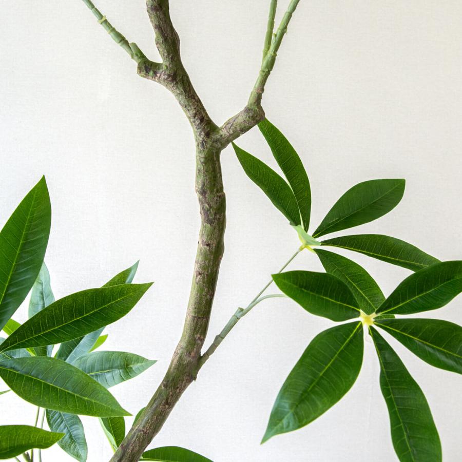 フェイクグリーン パキラ H約185cm 鉢付き / 観葉植物 フェイク