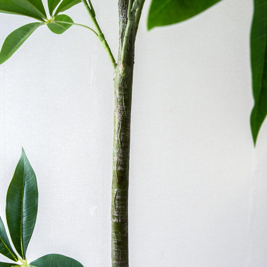 ★立札無料★【すぐ飾れる】 フェイクグリーン 人工観葉植物 パキラ 155cm 鉢付き / 法人・開店祝い 店舗・オフィス装飾_4