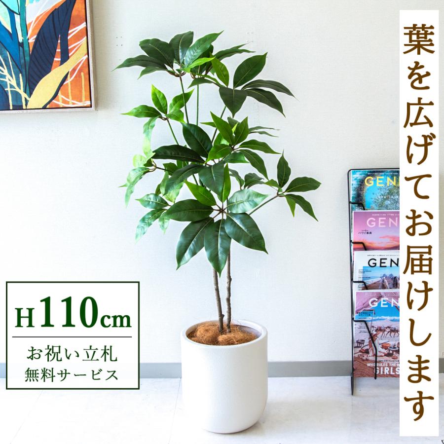 ☆立札無料☆【すぐ飾れる】 フェイクグリーン 人工観葉植物