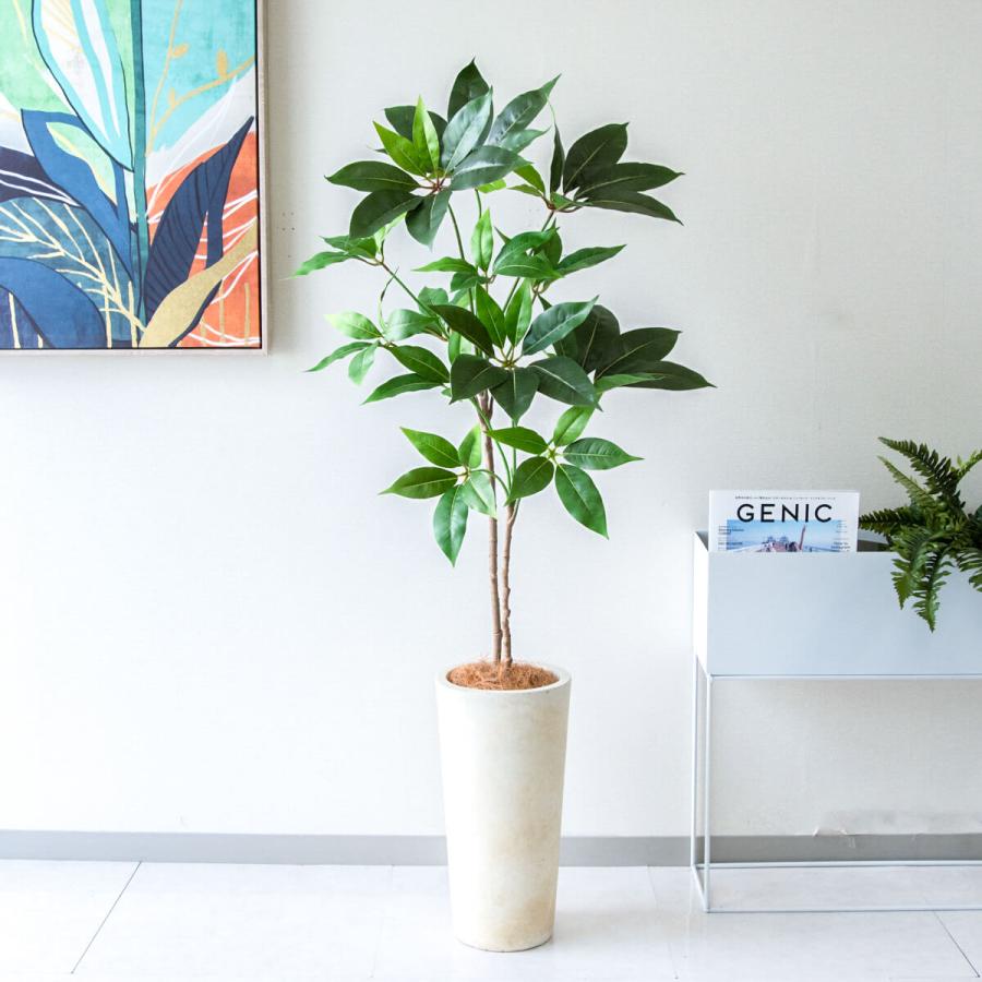 フェイクグリーン ツピタンサス H約130cm 鉢付き / 観葉植物
