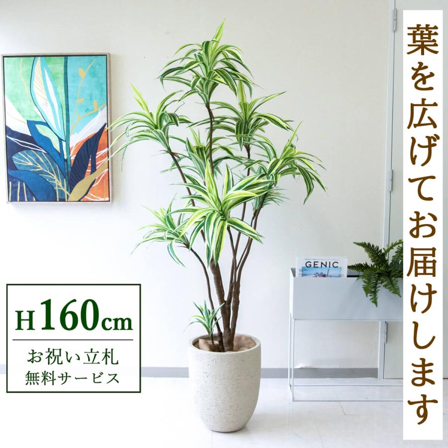 ☆立札無料☆【すぐ飾れる】 フェイクグリーン 人工観葉植物 ドラセナ