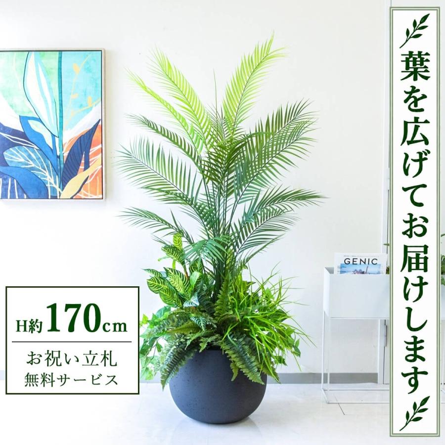 ☆立札無料☆【すぐ飾れる】 フェイクグリーン 人工観葉植物 決まりました　観葉植物　170センチ　フェイク　