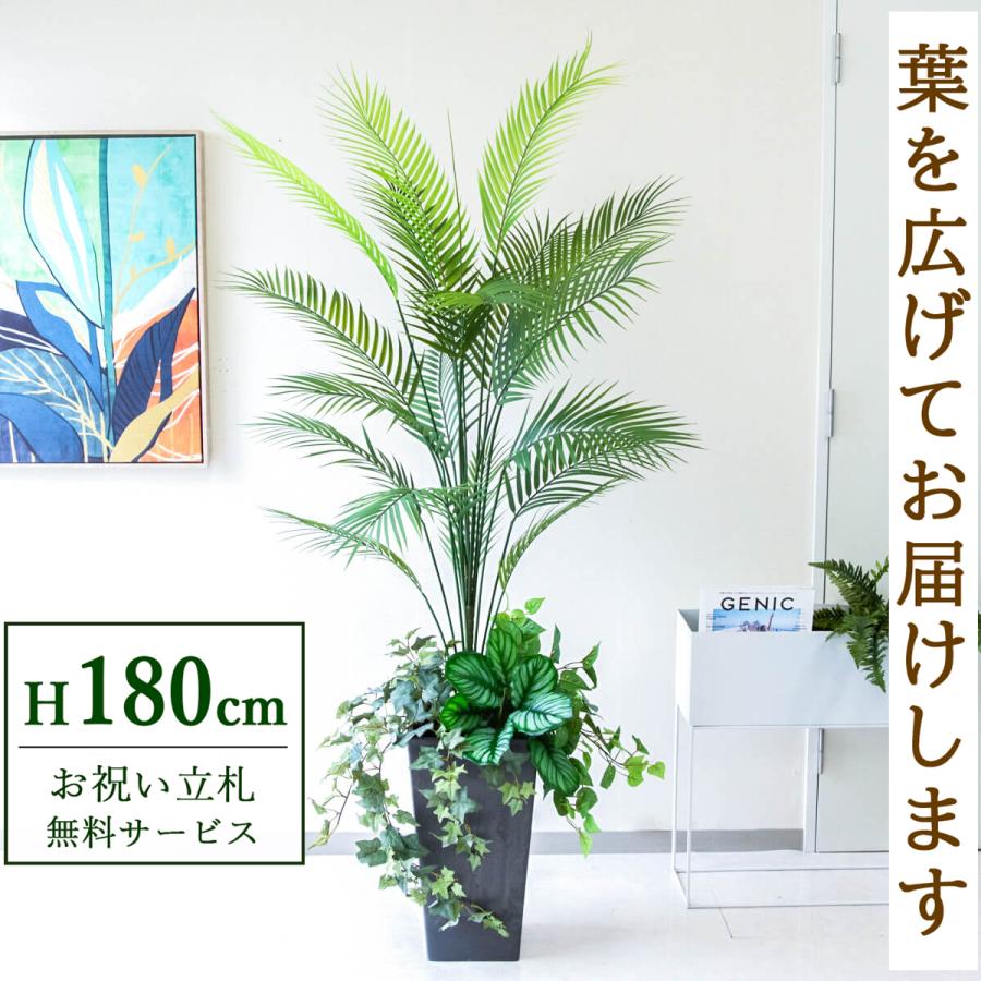 フェイクグリーン アレカパームツリー H約180cm 鉢付き / 観葉植物