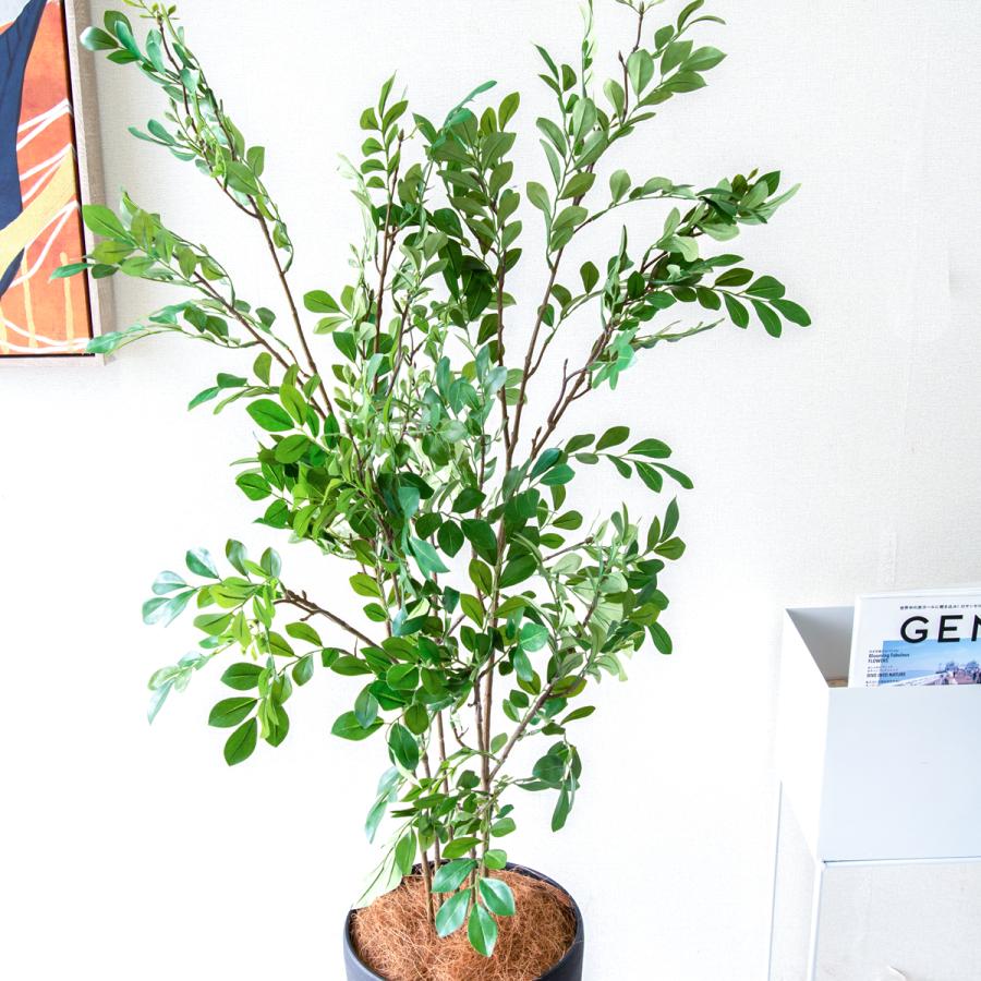 ★立札無料★【すぐ飾れる】 フェイクグリーン 人工観葉植物 トネリコ 125cm  鉢付き / 法人・開店祝い 店舗・オフィス装飾の画像