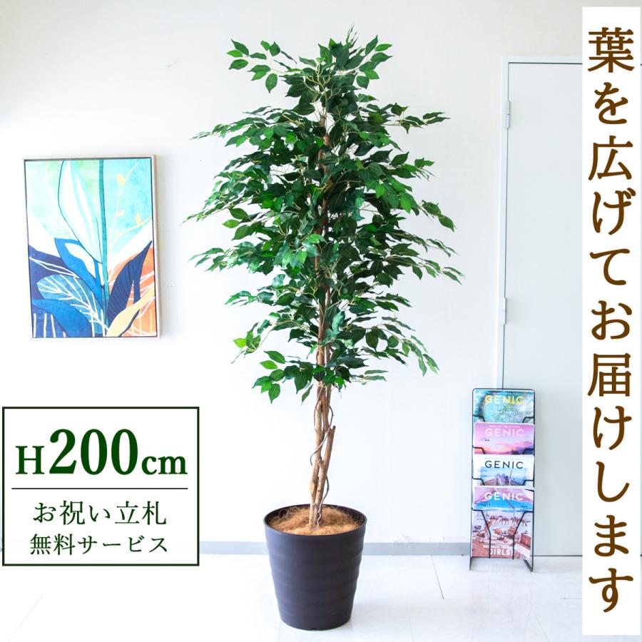 ☆立札無料☆【すぐ飾れる】 フェイクグリーン 人工観葉植物 フィカス